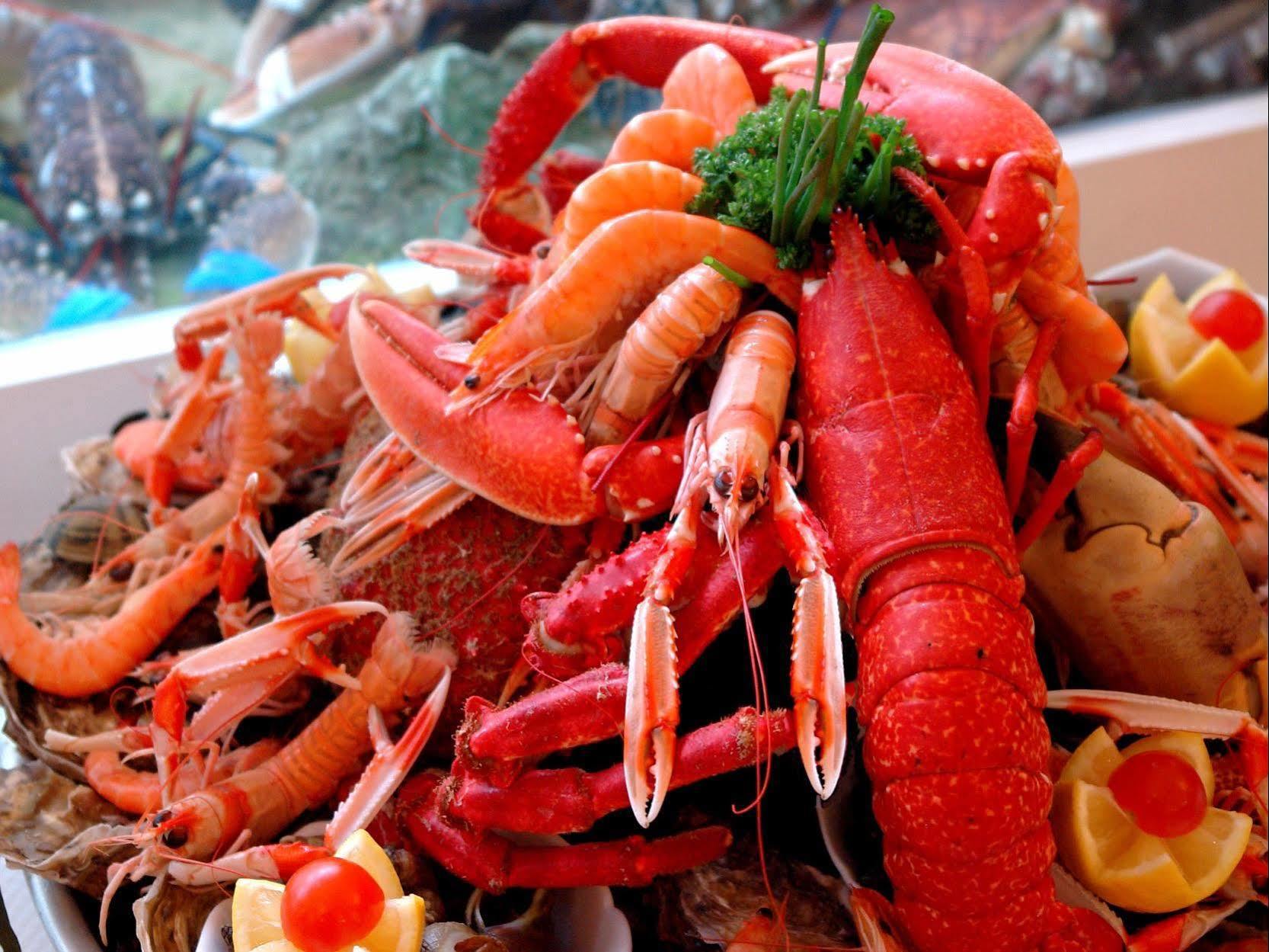 Logis Hotel Les Chardons Bleus Restaurant Le Bistrot De La Mer Roscoff Exteriér fotografie